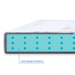 Nệm Foam Aroma Luxury Plus 12 Nệm Foam Aroma Luxury Plus
