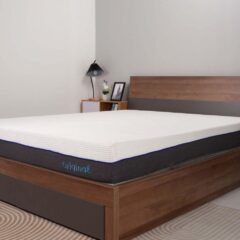 Nệm Foam Ikool9 Original Latex 17 Nệm Foam Ikool9 Original Latex