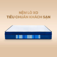 Nệm Lò Xo
