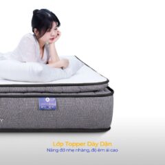 Nệm Lò Xo Liên Kết Aroma Ruby 3 Viền 8 Mua Nệm Lò Xo Aroma Tại Thành phố Hồ Chí Minh