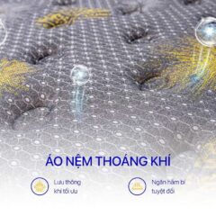 Nệm Lò Xo Túi Kim Cương Titanium Plus 15 Nệm Lò Xo Túi Kim Cương Titanium Plus