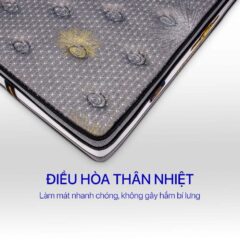 Nệm Lò Xo Túi Kim Cương Titanium Plus 11 Nệm Lò Xo Túi Kim Cương Titanium Plus