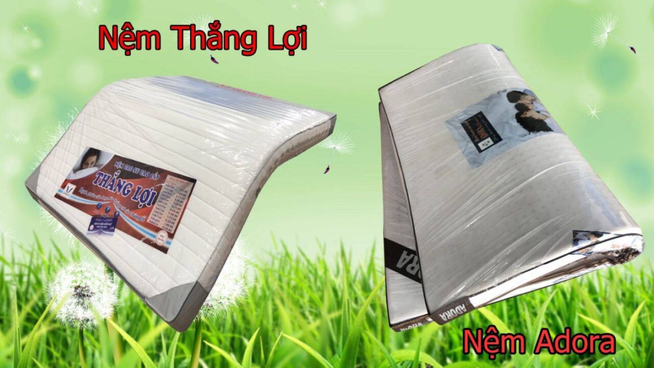 So sánh Nệm foam Thắng Lợi và Nệm Foam cao cấp Aroma Classic